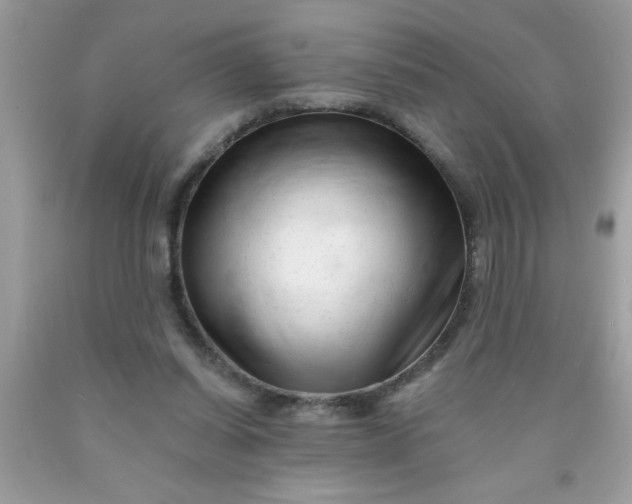 X0000090480254200707272325