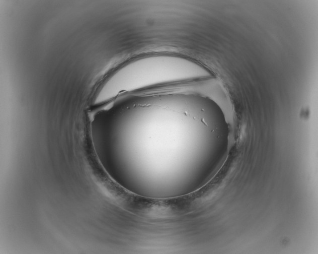 X0000090480256200707272325
