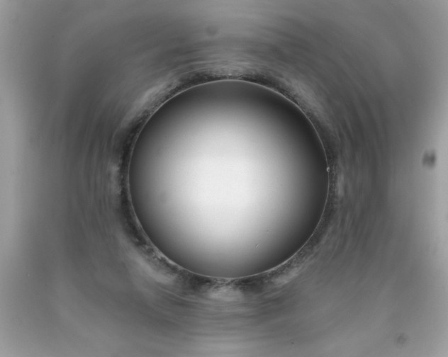 X0000090480258200707272325