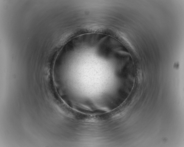 X0000090480259200707272325