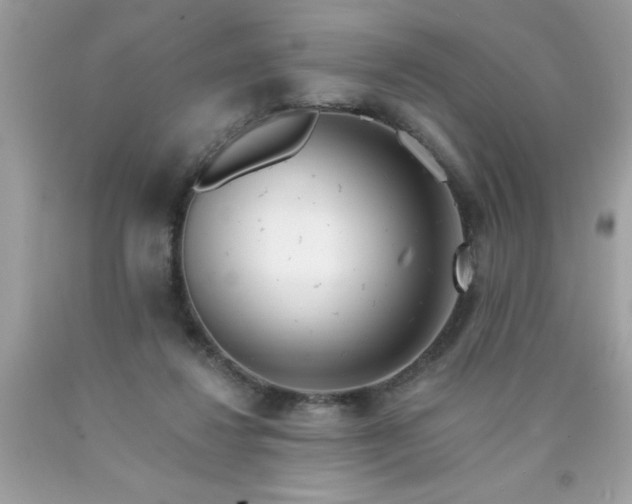 X0000090480260200707272325