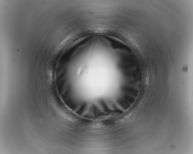 X0000090480262200707272325