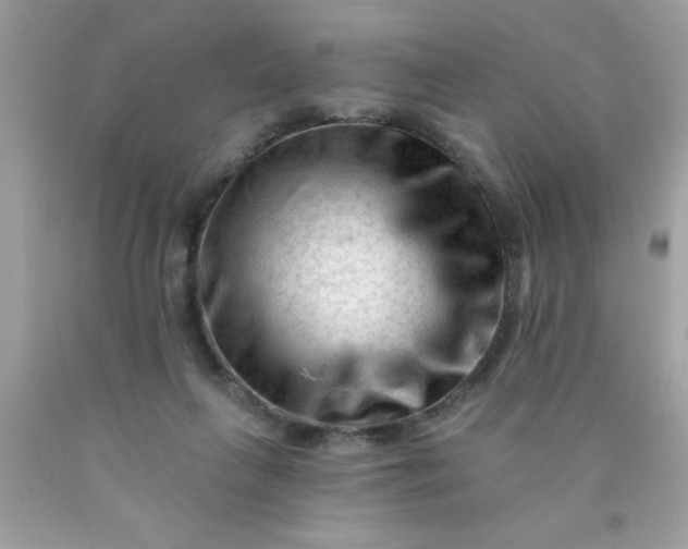 X0000090480263200707272325