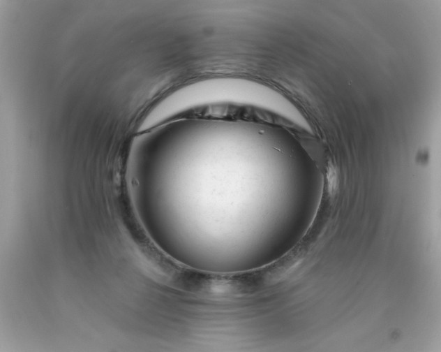 X0000090480264200707272325