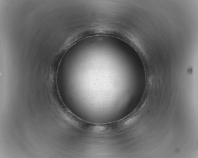 X0000090480265200707272325