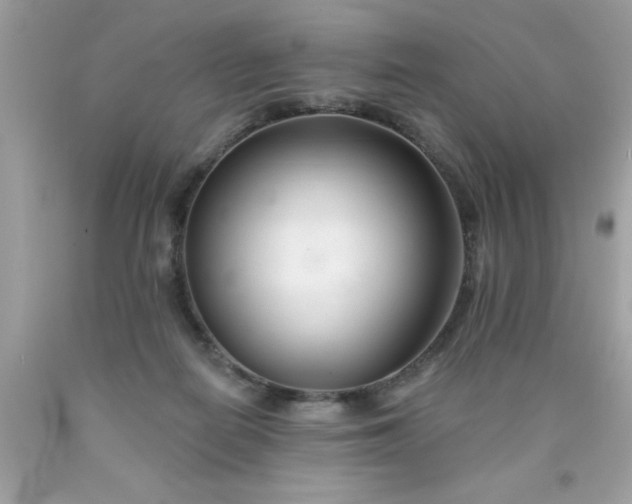 X0000090480266200707272325