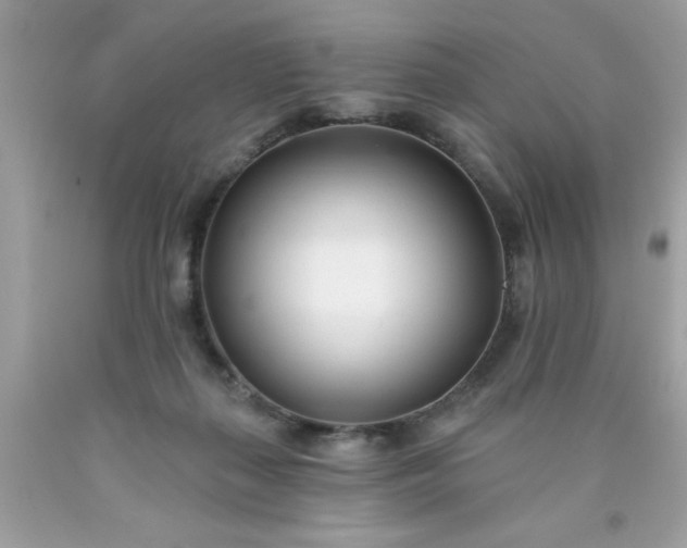 X0000090480267200707272325