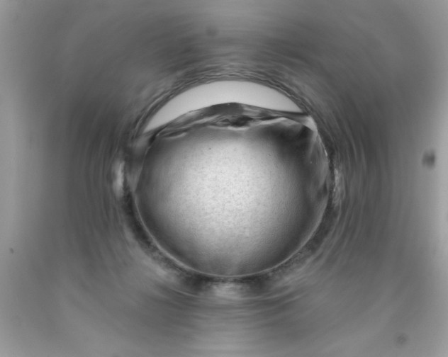 X0000090480268200707272325