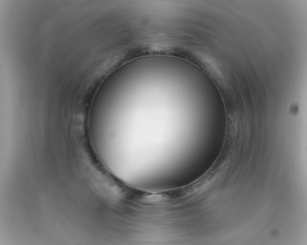 X0000090480269200707272325