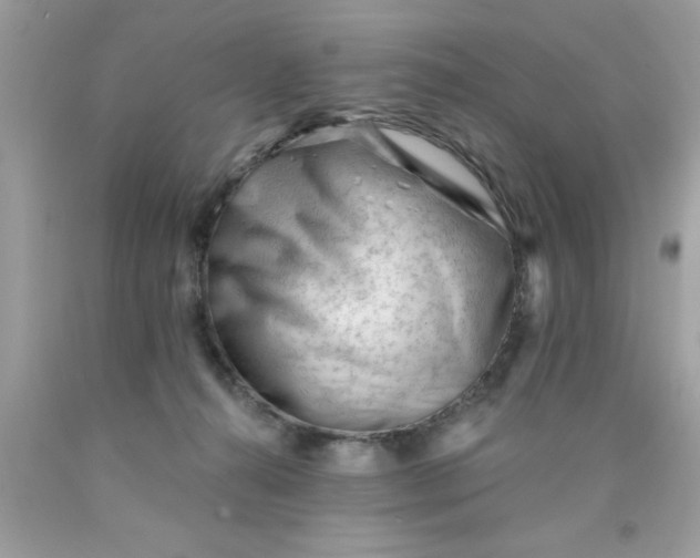 X0000090480272200707272325