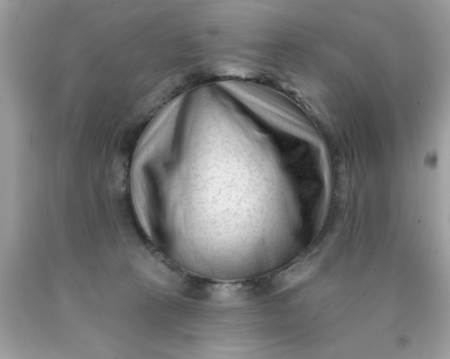 X0000090480273200707272325