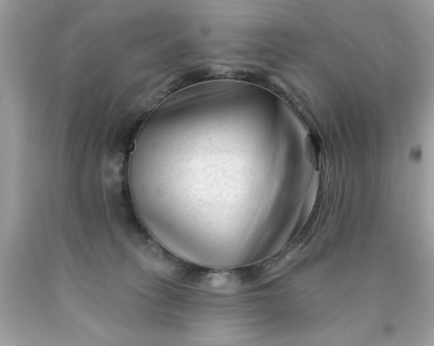 X0000090480275200707272325