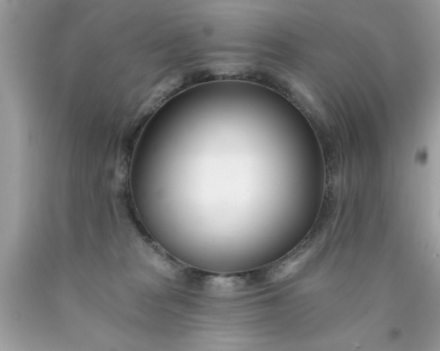 X0000090480277200707272325