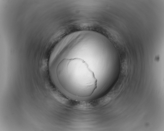 X0000090480278200707272325