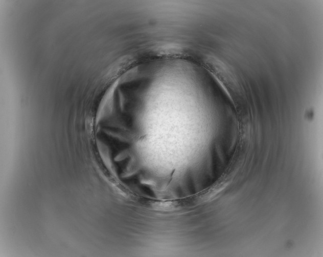 X0000090480281200707272325