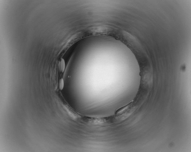 X0000090480282200707272325