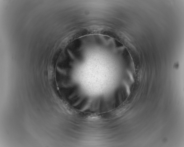 X0000090480283200707272325