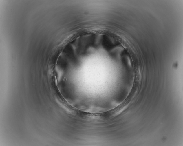 X0000090480284200707272325
