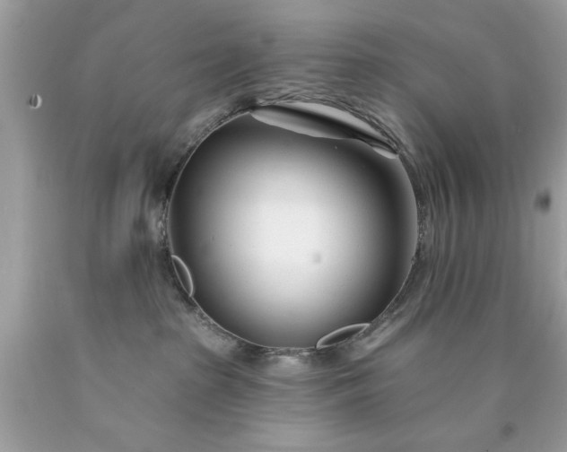 X0000090480285200707272325