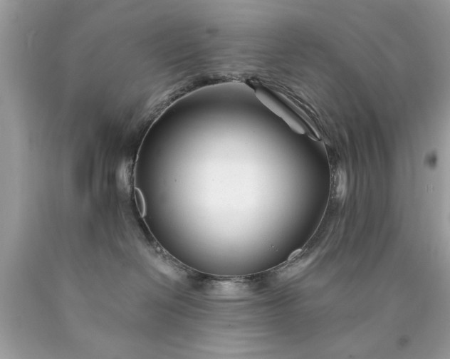 X0000090480286200707272325