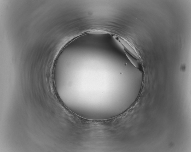 X0000090480289200707272325