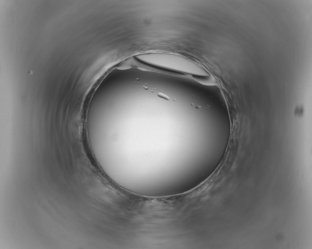 X0000090480290200707272325
