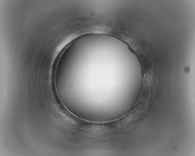 X0000090480292200707272325