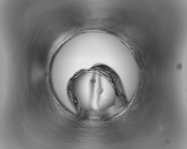 X0000090480293200707272325