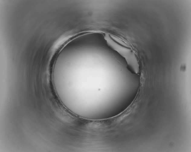 X0000090480294200707272325