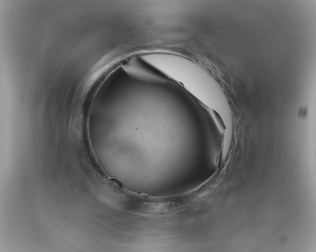 X0000090480295200707272325