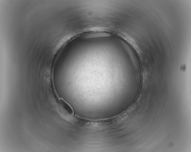 X0000090480297200707272325