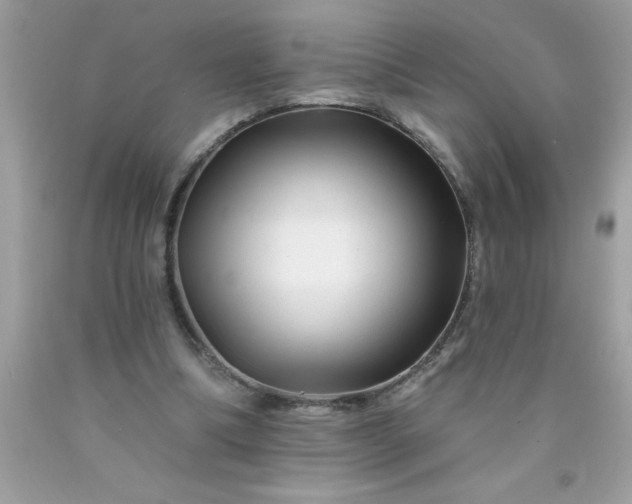 X0000090480298200707272325