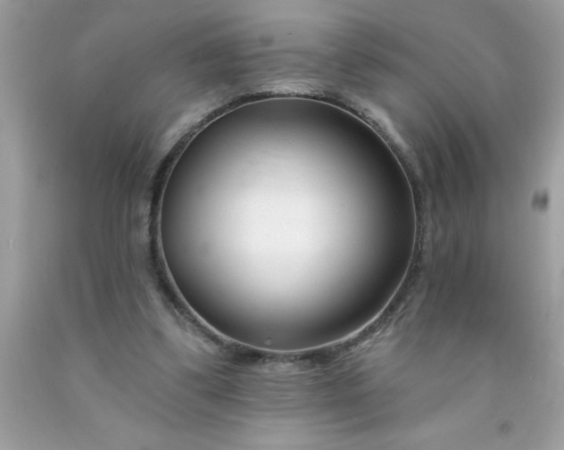 X0000090480299200707272325