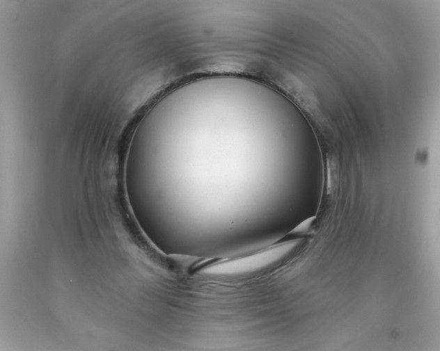 X0000090480300200707272325