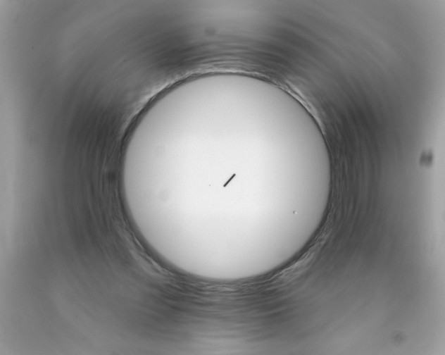X0000090480301200707272325