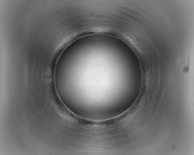 X0000090480303200707272325