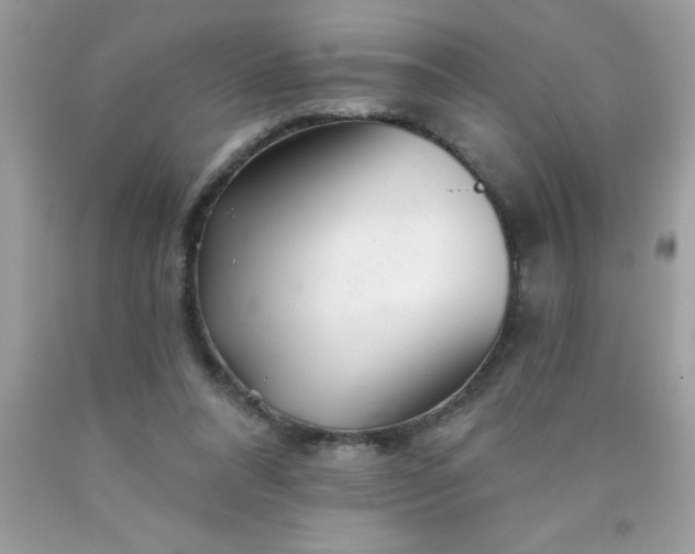 X0000090480304200707272325
