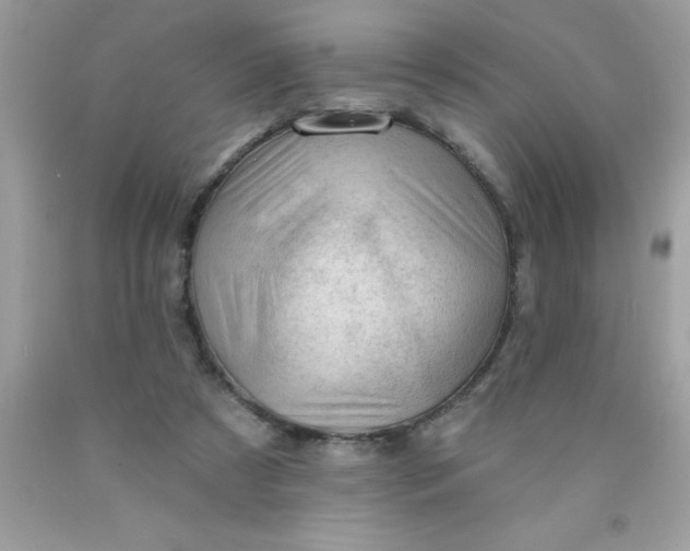 X0000090480305200707272325