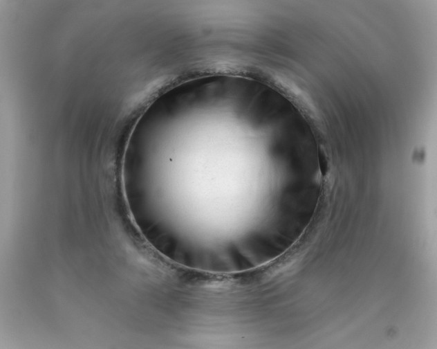 X0000090480306200707272325