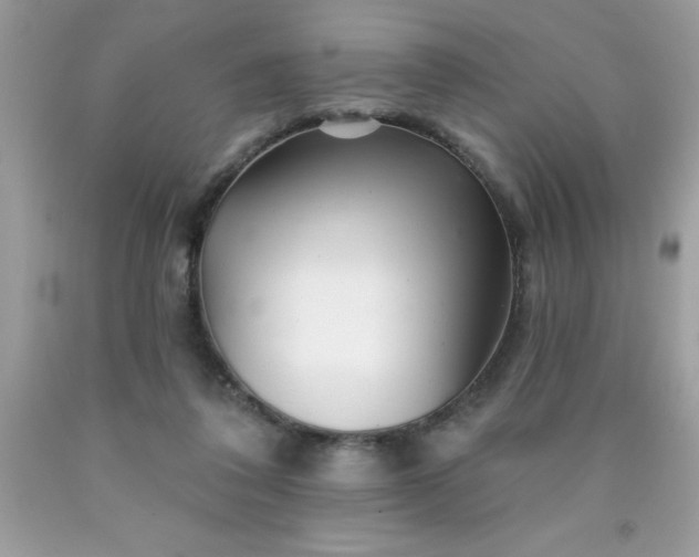 X0000090480308200707272325