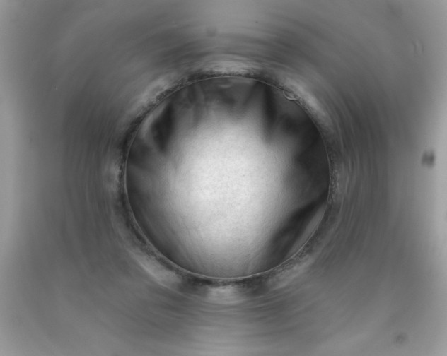 X0000090480309200707272325