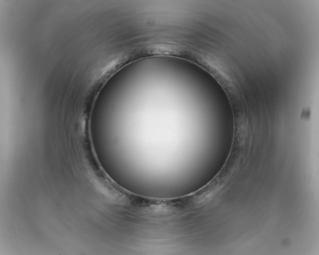 X0000090480310200707272325