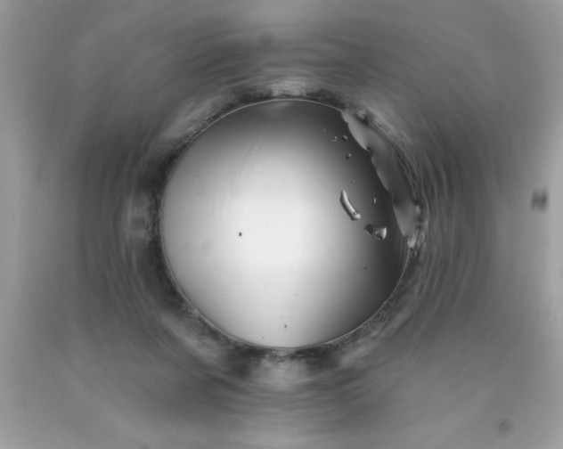 X0000090480311200707272325
