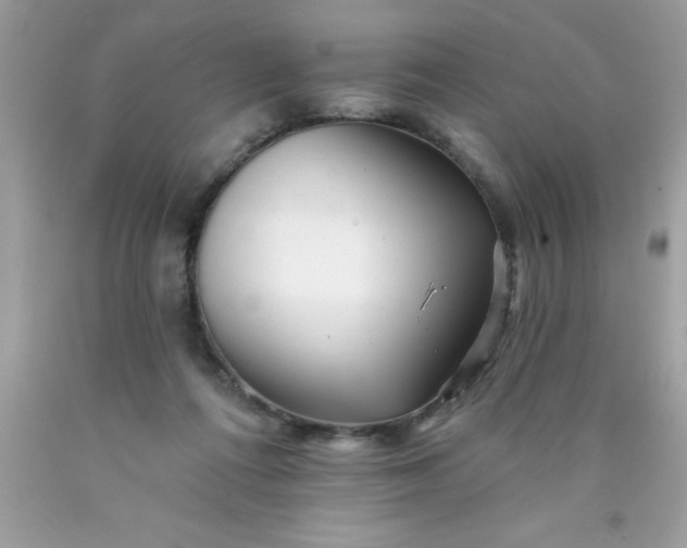 X0000090480312200707272325