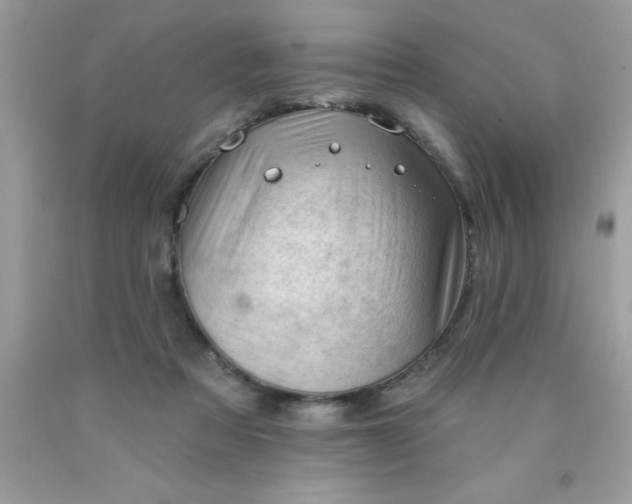 X0000090480313200707272325