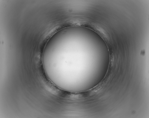 X0000090480314200707272325