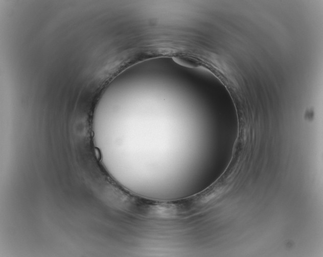 X0000090480317200707272325