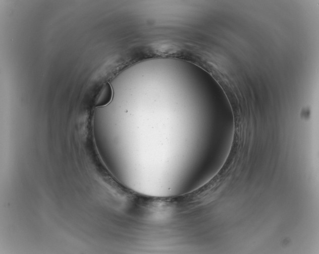 X0000090480319200707272324