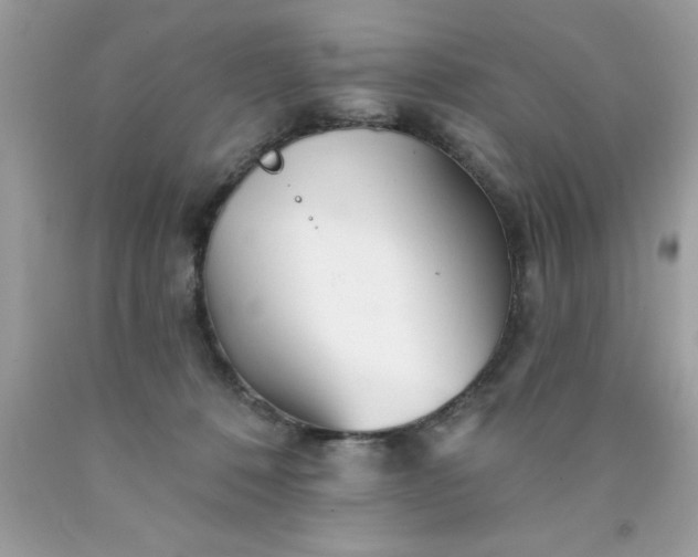 X0000090480320200707272324