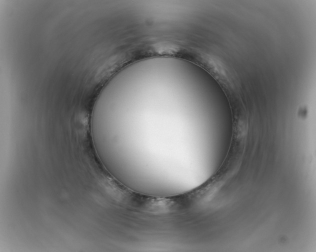 X0000090480321200707272324